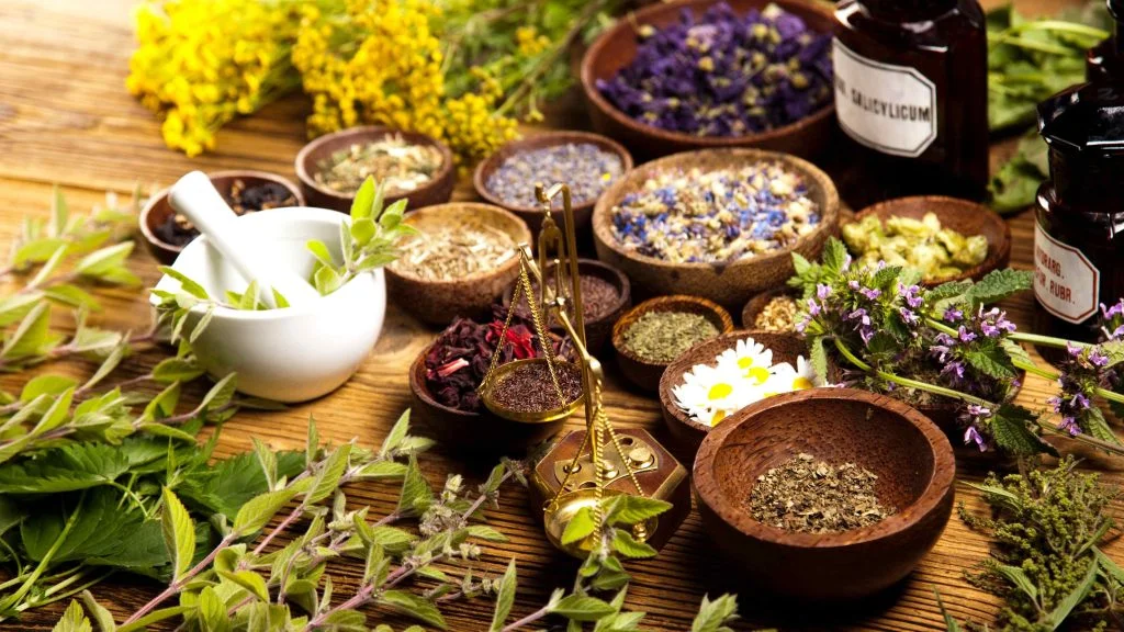 Natural Ways to Boost Immunity Using Ayurvedic Herbs